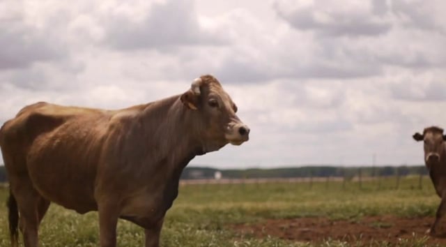 Así se hizo el vídeo de introducción de la web de Cocinandos